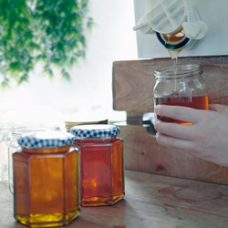 Leia mais sobre o artigo Ep11- Sabia que existe mel para todos os gostos?