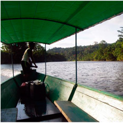 Biologar - Amazonia