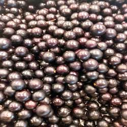 Read more about the article Ep9- A jaboticaba