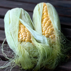Leia mais sobre o artigo Ep37- A cabeleira do milho