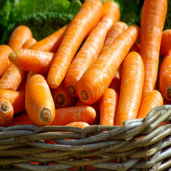 Leia mais sobre o artigo Ep92- Verduras ou legumes?