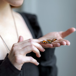 Uma borboleta na mão