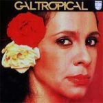 Gal Tropical